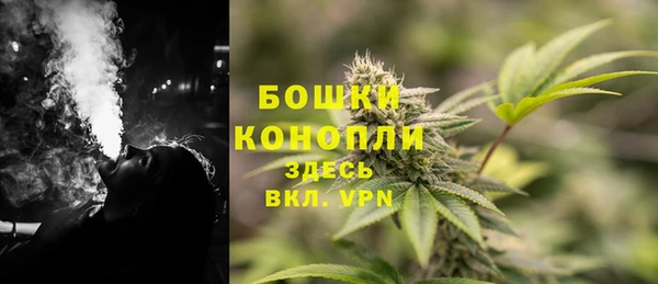 спиды Сосновка