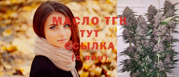 бошки Бородино